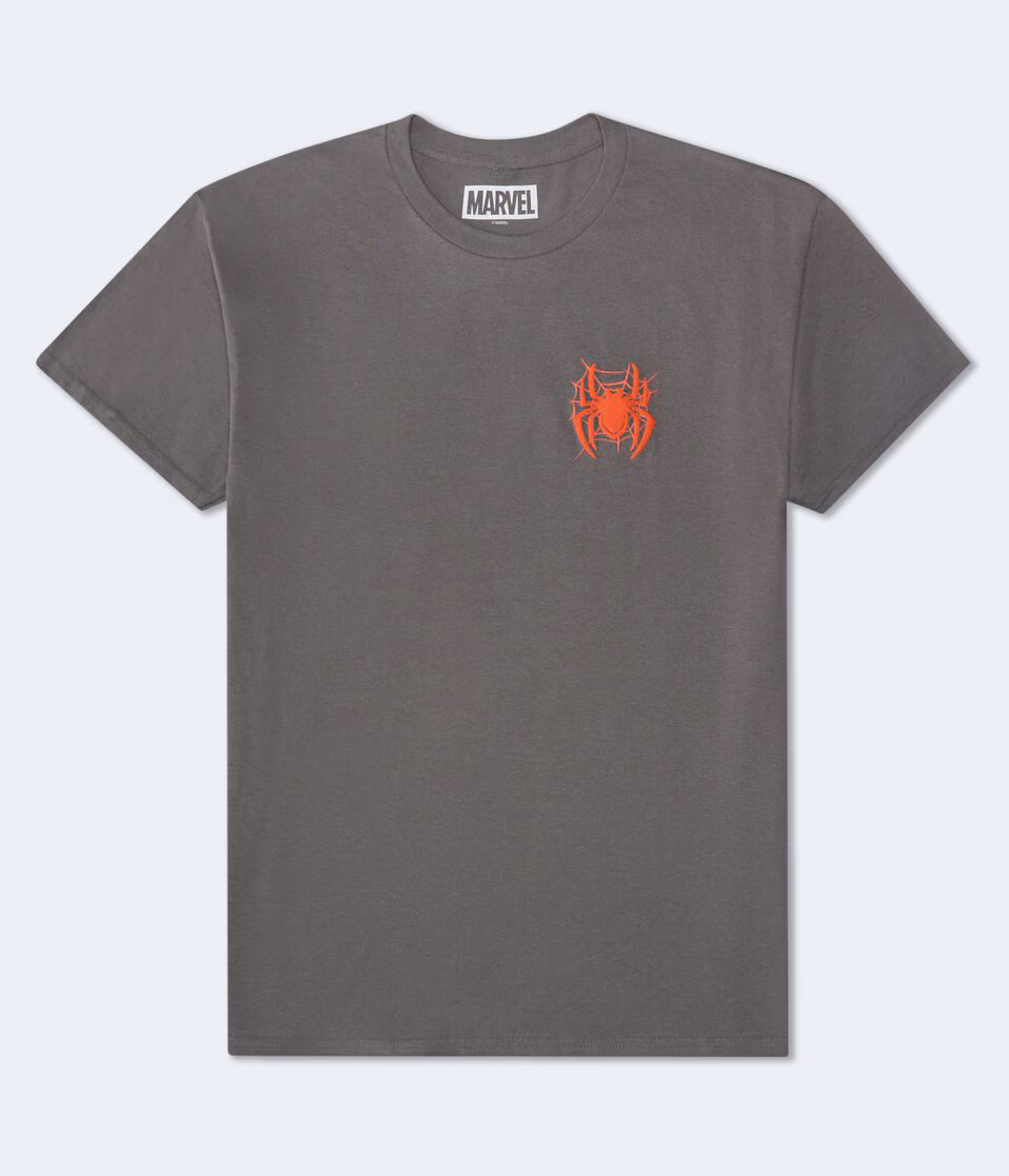 Spider-Man Web Relaxed Graphic Tee