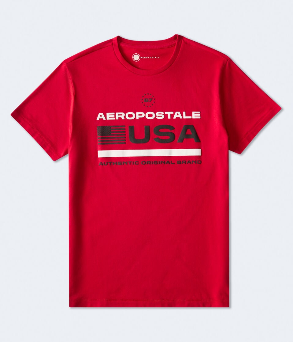 Aeropostale USA Flag Graphic Tee